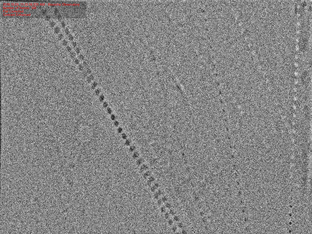 moon-11-30-56-AM.png